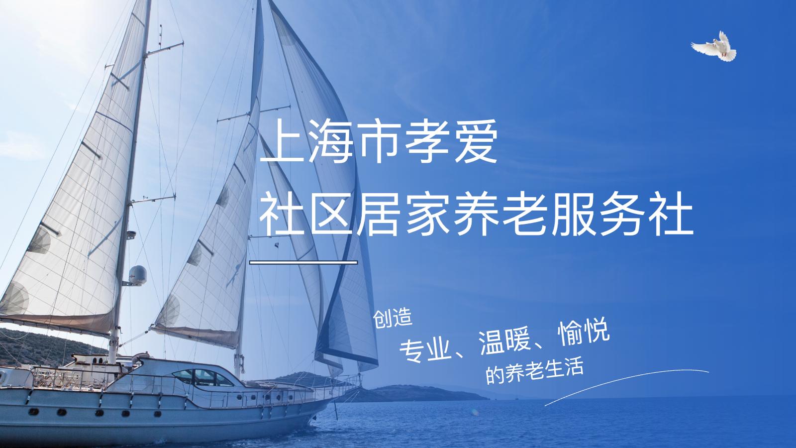 孝爱简介第1页